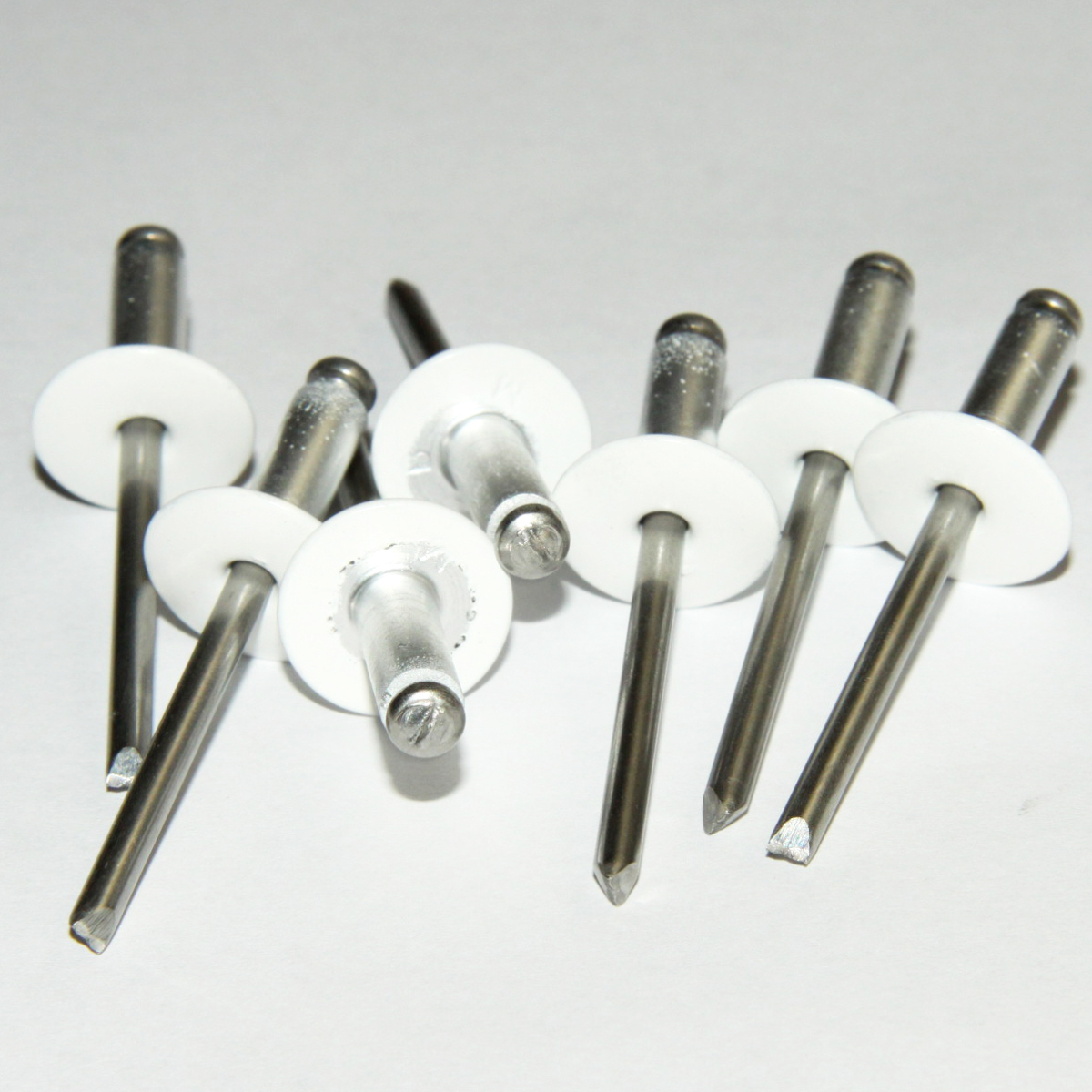 rivet alu/inox Ø5 kop 14mm 16.101 wit (250st)