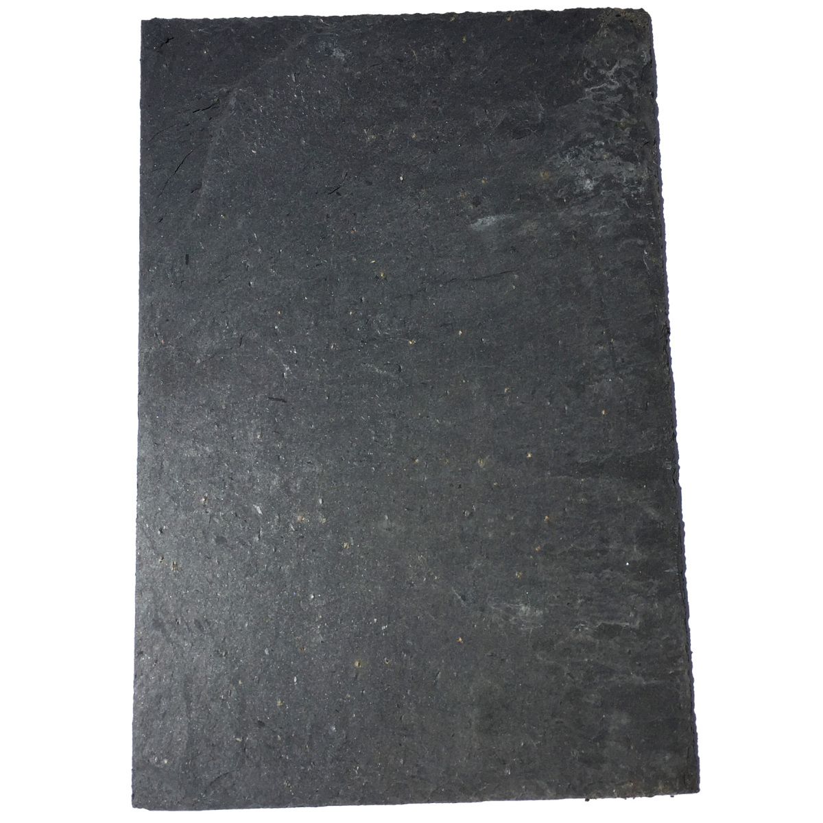 natuurlei 20/30 canadienne 5.2 mm - ATGH768