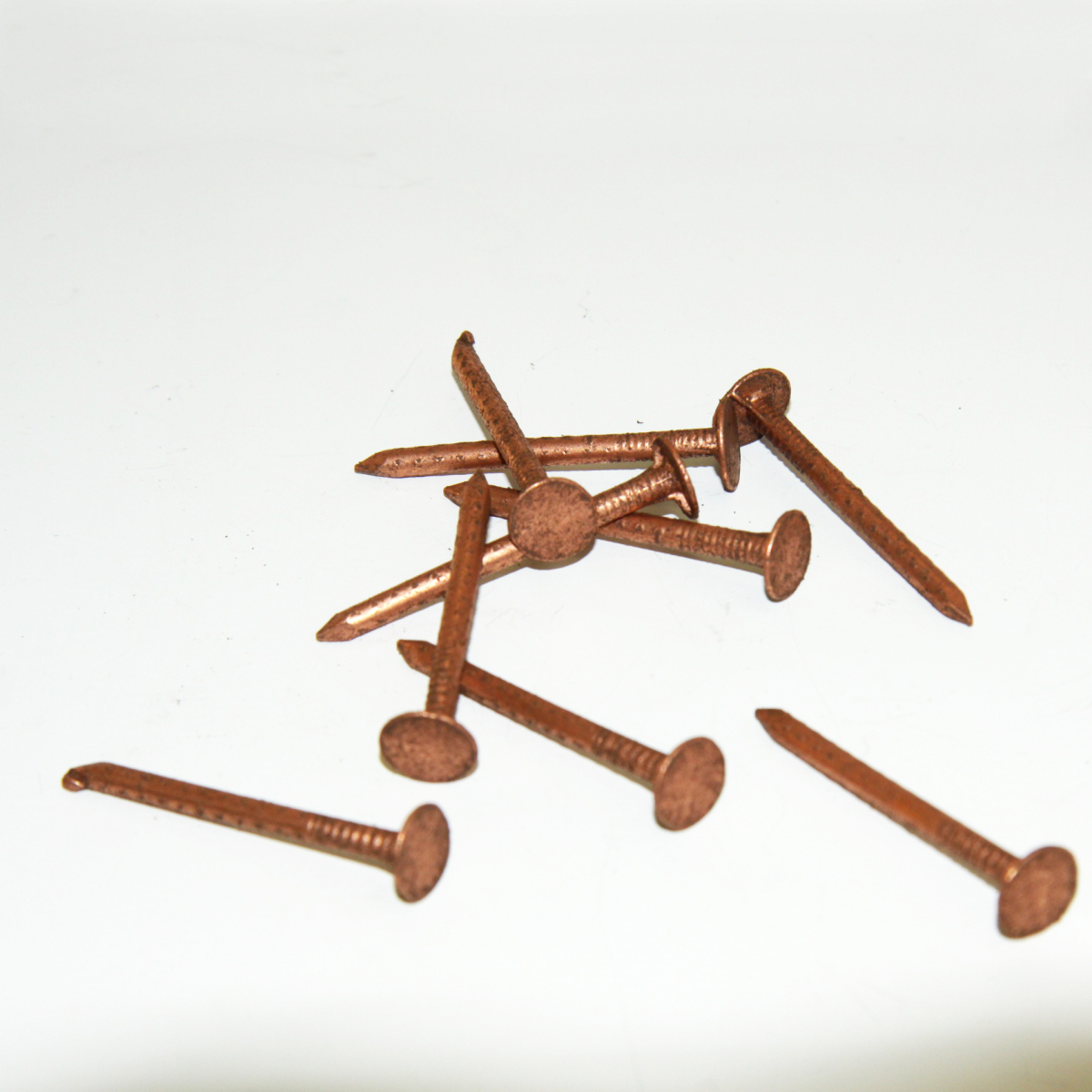 leinagels (doos 500 gr.) Cu 40 mm