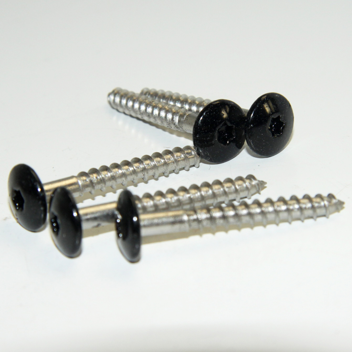 torx panel 38x4,8 zwart (100st)