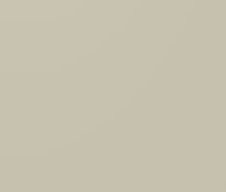 ALUCOBOND®  PLUS 503 Metallic/Champagne