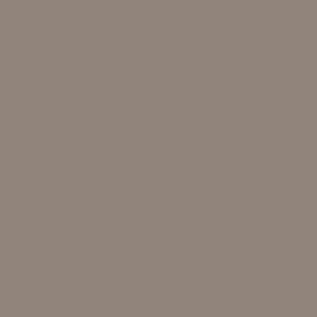 ALUCOBOND®  PLUS anodized look/C32